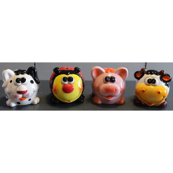 SALVA ANIMAL PICC