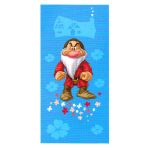 Plaid Disney Sette Nani