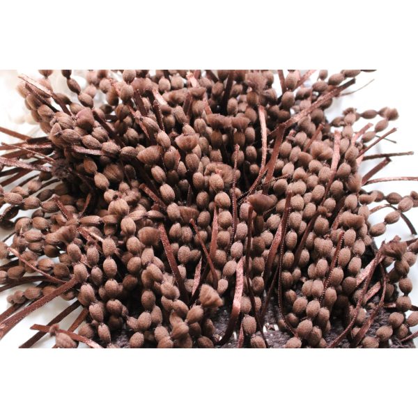 Tappeto Shaggy Franke-3477
