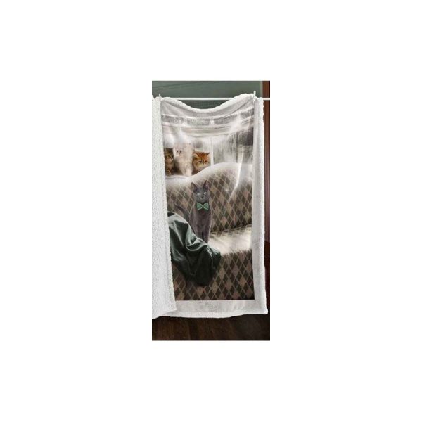 plaid-gatto-21 Plaid fantasia Gatti